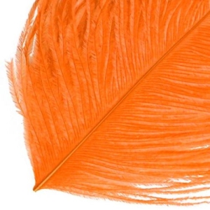 Straussenfeder, hot orange: Detailaufnahme einer leuchtend orangefarbenen Feder.