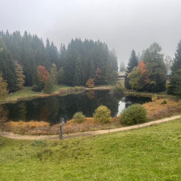 Ein kleiner Teich, bekannt als Lac des Joncs, ist von herbstlichen Bäumen mit grünen, orangefarbenen und gelben Blättern umgeben, die auf einer grasbewachsenen Lichtung stehen. Hohe Kiefern und ein nebliger Himmel vervollständigen diese ruhige Waldszene.