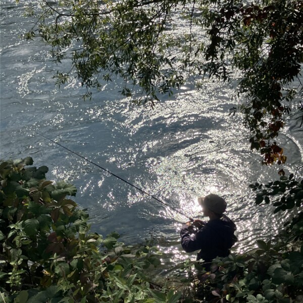 Fischer am Ufer der Limmat im Sonnenschein. Angler beim Fischen im Fluss.