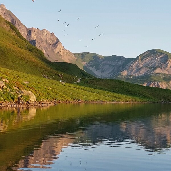 Ein klarer See, in dem sich grüne Hügel und Berge unter einem blauen Himmel bei Sonnenuntergang spiegeln, über dem Vögel fliegen und sanftes Sonnenlicht die Landschaft beleuchtet.