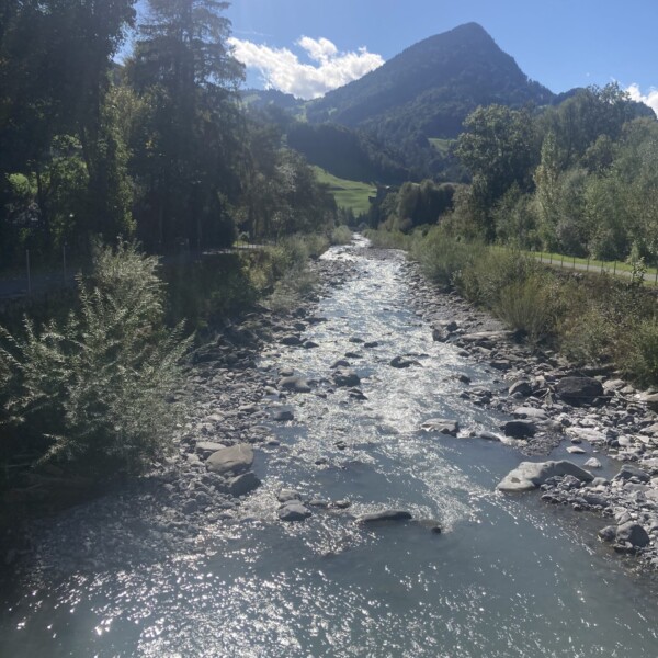 Fluss Taschinasbach mit Felsen und Bäumen vor Bergkulisse im Sonnenlicht.
