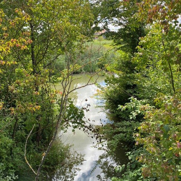 Abistbach-Bachlauf umgeben von üppigem Grün und Bäumen, der Himmel spiegelt sich im Wasser.