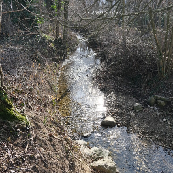 Bachlauf im Wald, Arande. Sonnenlicht reflektiert im klaren Wasser.