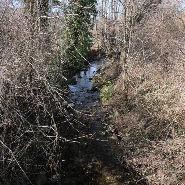 Bachlauf im Waldgebiet von Arande, umgeben von Bäumen und Sträuchern.
