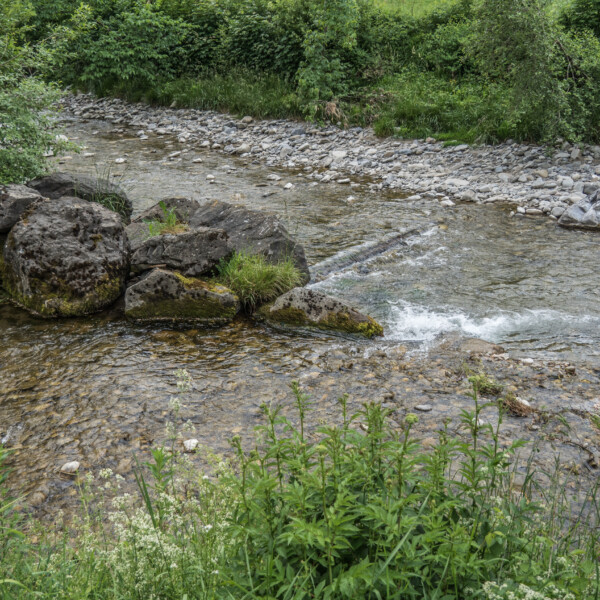 Äschlisbach: Ein Bachlauf mit Felsen und üppiger Vegetation am Ufer.