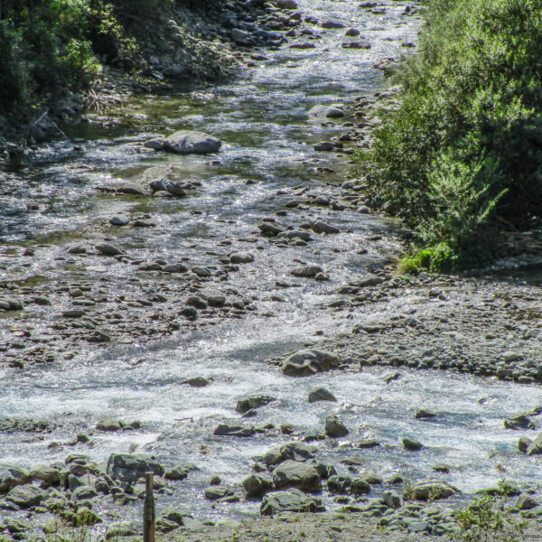 Fluss Aua Russein mit Steinen und üppiger Vegetation an den Ufern.
