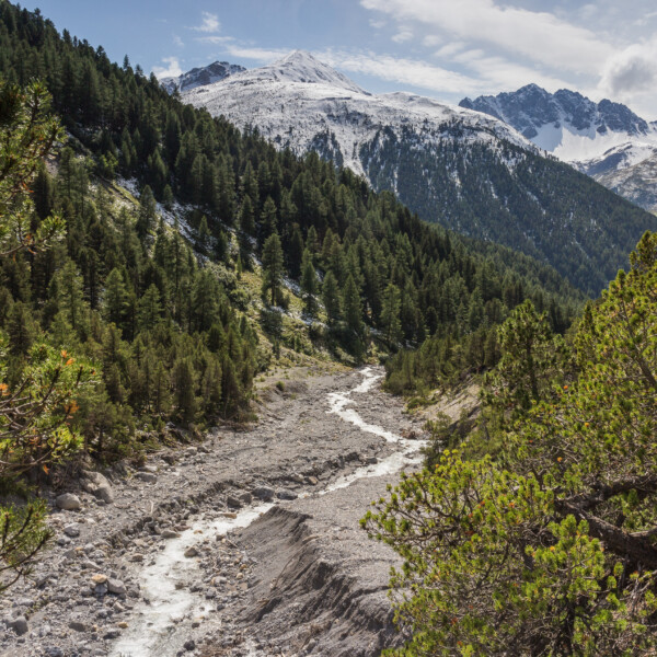 Fluss Aval S-charl in den Schweizer Alpen, umgeben von Bergen und Wald.