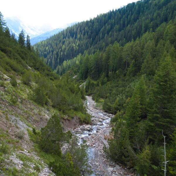 Bärentalerbach: Bachlauf durch grüne, bewaldete Landschaft in den Bergen.