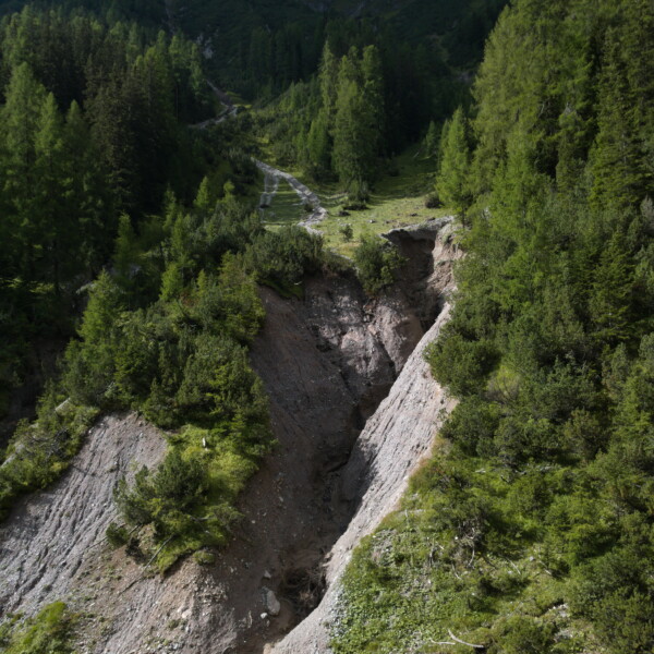 Bärentalerbach-Schlucht mit Geröll und umgebendem Wald.