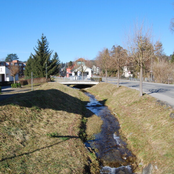 Beerenbach in Müllheim fließt unter einer Brücke hindurch, mit Straße und Häusern im Hintergrund.