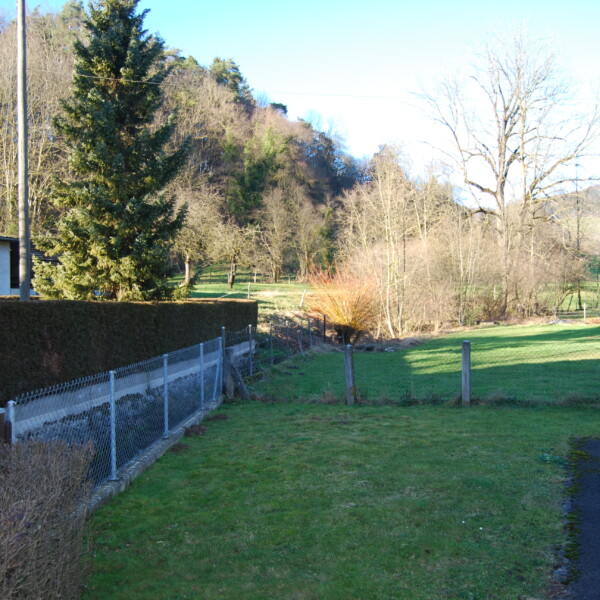 Grüner Garten mit Zaun und Bäumen in Biel de Val.