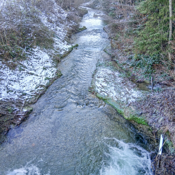 Winterliche Buechwigger: Ein Bach fließt durch eine verschneite Landschaft.
