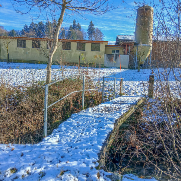 Schnee bedeckte Brücke in Buechwigger, Winterlandschaft mit Gebäude und Bäumen.