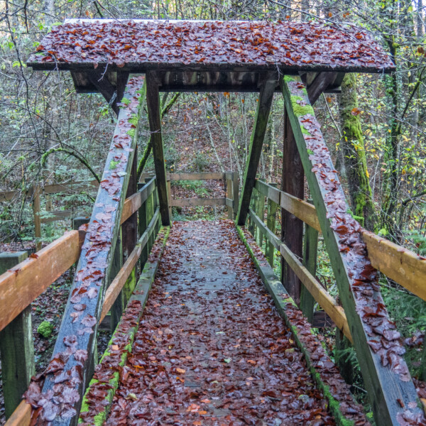 Herbstliche Holzbrücke mit Blättern bedeckt, Chalière.