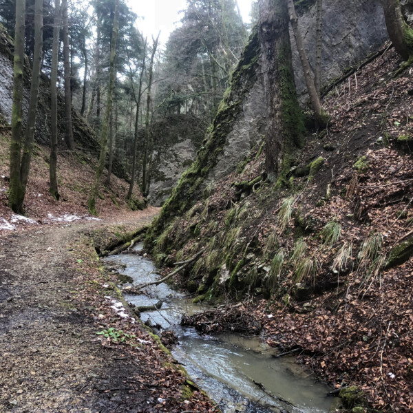 Bachlauf im Cholersbach-Tal, umgeben von Bäumen und Felsen. Herbstliche Stimmung.