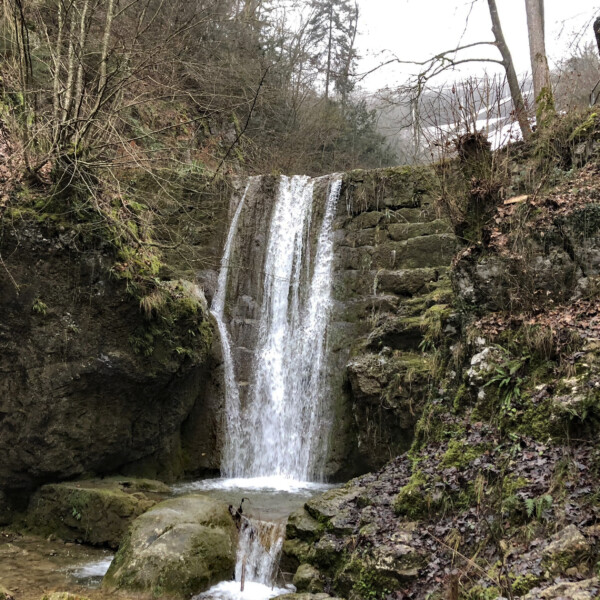 Cholerbach Wasserfall mit Steintreppe und üppigem Grün. Malerische Naturkulisse.