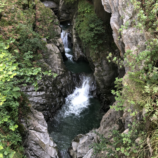 Choltalbach-Schlucht in Emmetten mit Wasserfällen und üppigem Grün.