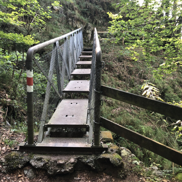 Metalltreppe mit Geländer im Choltalbach, Emmetten. Wanderweg durch Wald.