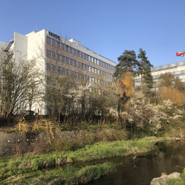 Gebäude der ewz am Chriesbach, Zürich, mit Fluss und Bäumen im Vordergrund.