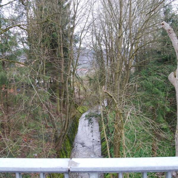 Bachlauf des Chrüzlibachs zwischen Bäumen, gesehen von einer Brücke.