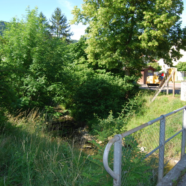 Diegterbach-Bachlauf mit üppigem Grün und Geländer. Natur am Diegterbach.
