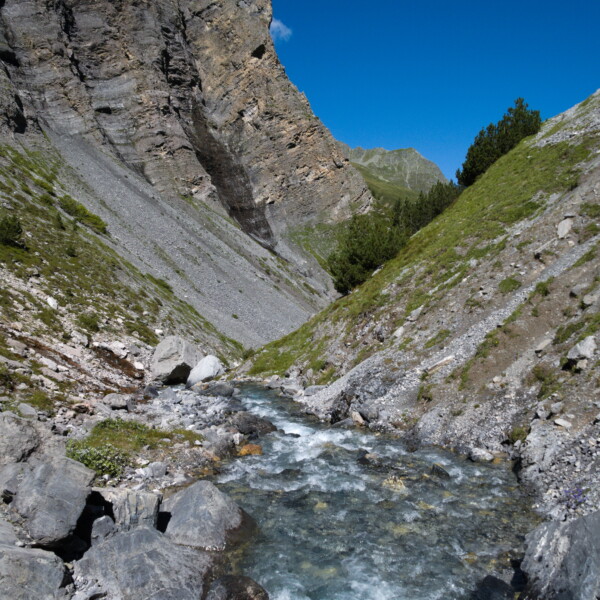 Ducanbach Gebirgsbach fließt durch felsige Landschaft. Alpenbach in Graubünden.