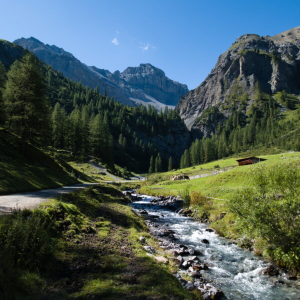 Ducanbach-Bachlauf in malerischer Berglandschaft mit grünen Wiesen und bewaldeten Hängen.