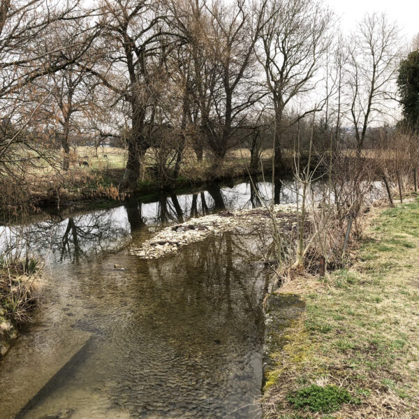 Erzbach-Fluss im Winter mit Bäumen und Uferbewuchs. Ruhige Naturaufnahme.