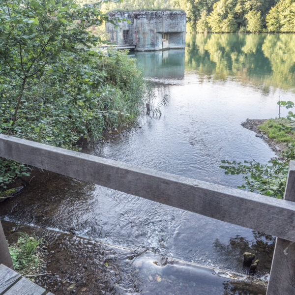 Fisibach: Flusslandschaft mit Betonbauwerk und Spiegelung im Wasser.
