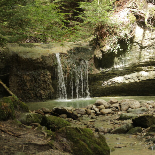 Kleiner Wasserfall im Flon Morand Wald, umgeben von Felsen und Grün.