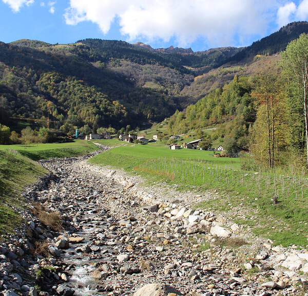 Fluss durch grüne Landschaft mit Bergen im Hintergrund