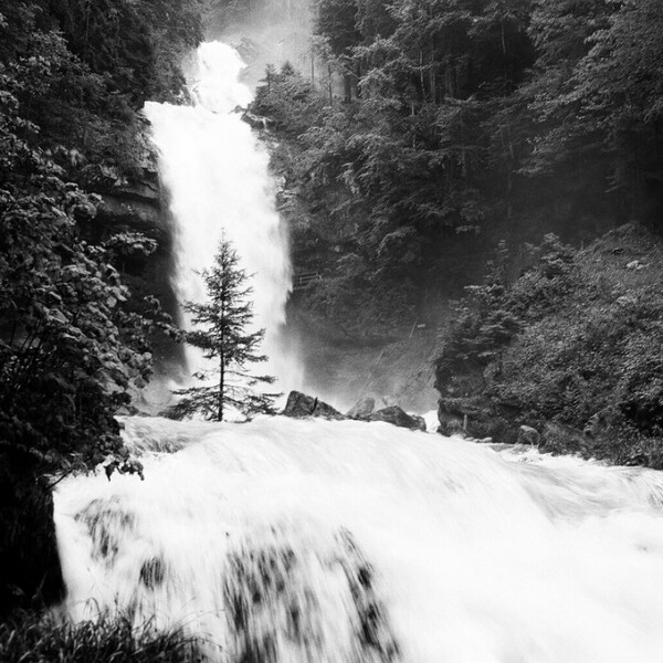 Giessbach Wasserfall mit Baum im Vordergrund, umgeben von Wald.