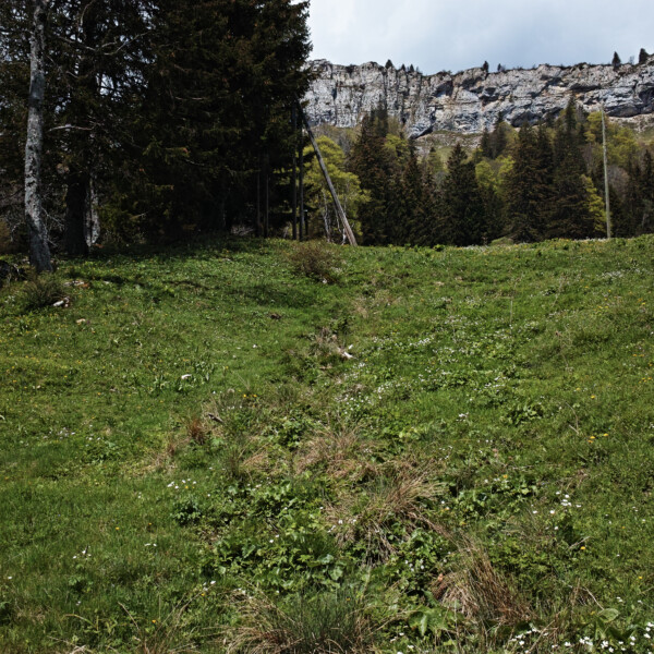 Grüne Wiese mit Bäumen und Felswand im Hintergrund bei Giglerbach.