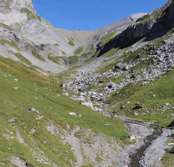 Grüne Landschaft mit Bachlauf in Glattalpseebach-Tal, umgeben von Bergen.