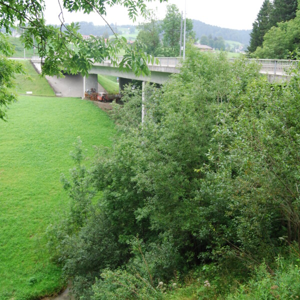 Grüne Landschaft mit Bach, Brücke und Bäumen. Goldibach fließt unter einer Betonbrücke.