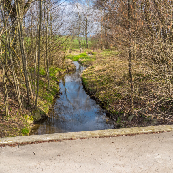 Haselbach: Bachlauf durch grüne Landschaft mit Bäumen und Spiegelungen im Wasser.