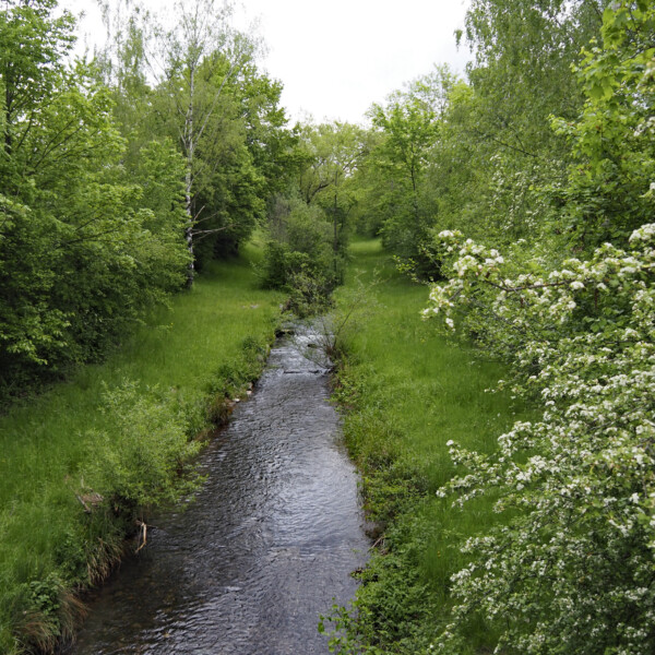 Himmelbach Bachlauf durch grüne Landschaft. Ruhige Natur am Wasser.