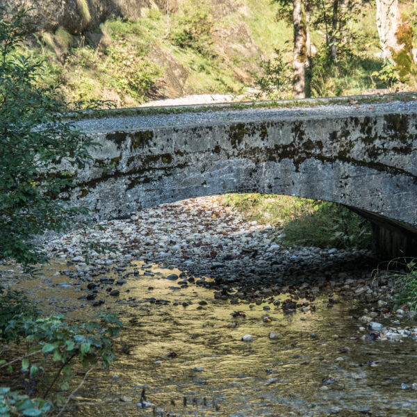 Alte Steinbrücke über den Fluss Hintere Töss mit Ufergestein und üppigem Grün.