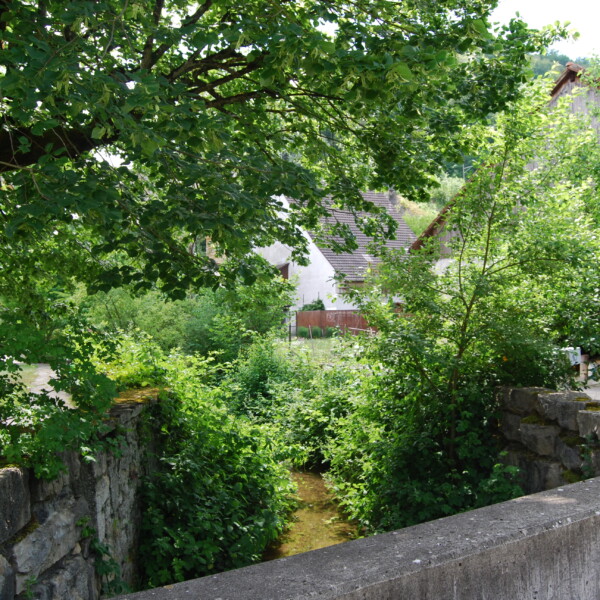 Bachlauf des Homburgerbachs durch üppiges Grün, mit Blick auf Häuser im Hintergrund.