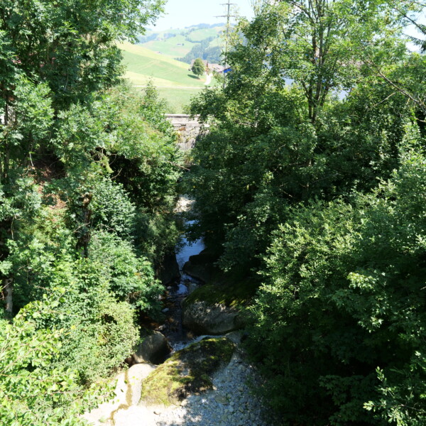 Grüne Vegetation umgibt den Kaubach, der durch eine Landschaft fließt.