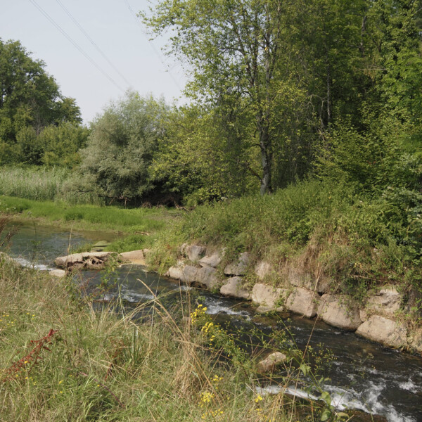 Leuggernbach-Flusslauf mit Uferbefestigung und üppiger Vegetation im Grünen.