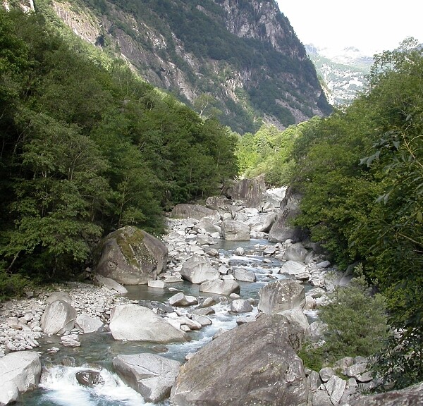 Maggia-Tal: Fluss mit Felsen und üppiger Vegetation in der Schweiz.