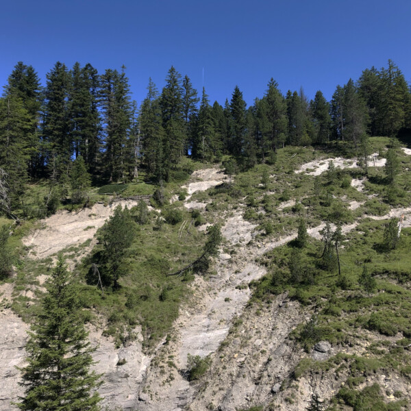 Grüne Landschaft mit Bäumen in Mittelbach unter blauem Himmel.