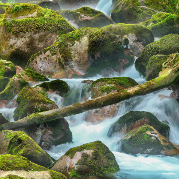 Moosbedeckte Felsen im Murgbach mit fließendem Wasser.