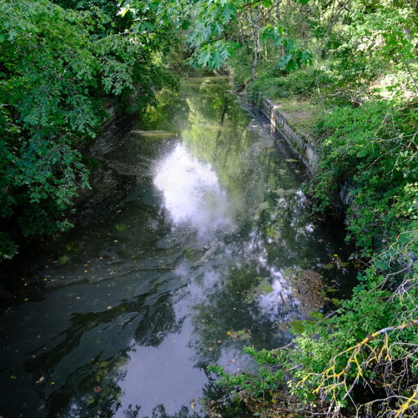 Nant d'Avril: Bewachsener Bachlauf mit Spiegelungen im Wasser.