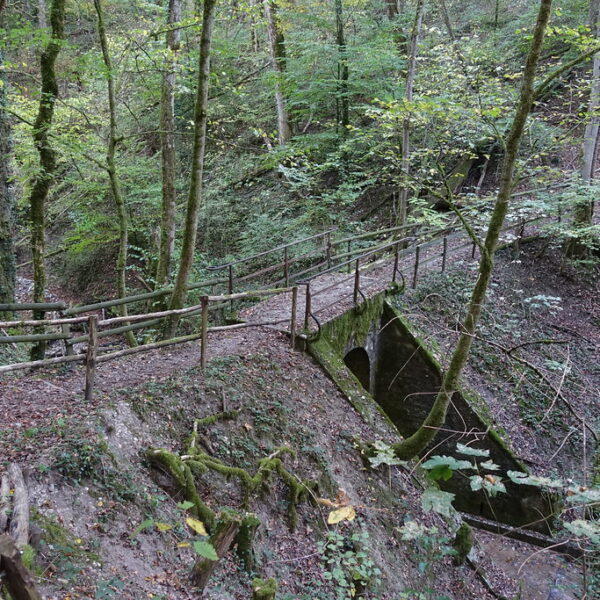 Holzbrücke über die Nante des Crues im Wald. Wanderweg mit Geländer.