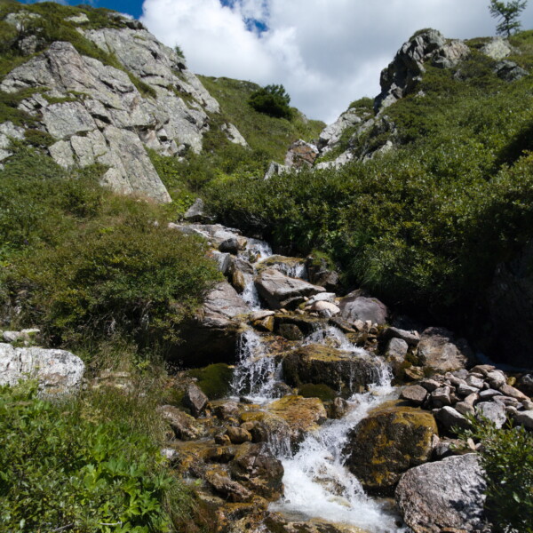 Oberalpbach: Ein klarer Bergbach fließt über Felsen und Grün, unter blauem Himmel.