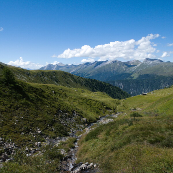 Grüne Landschaft mit Bach in Oberalpbach unter blauem Himmel.