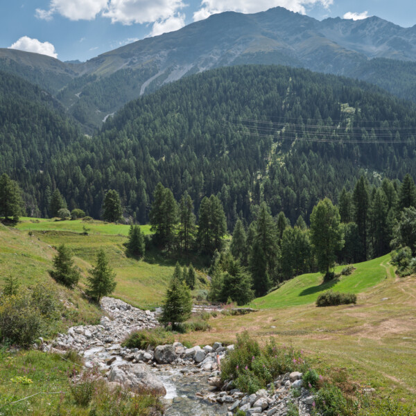 Bach Ova da Barlas-ch fließt durch grüne Wiesen und Wälder in den Bergen.