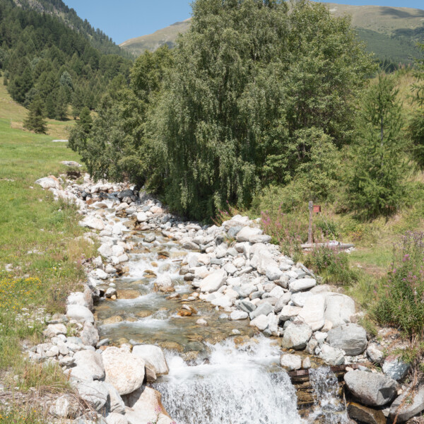 Ova da Barlas-ch Bachlauf mit Felsen in alpiner Landschaft, grüne Wiesen und Bäume im Hintergrund.